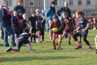 vb_a0258.jpg - JPEG - 475.6 ko - 2000×1333 px