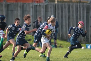 vb_a0281.jpg - JPEG - 319.8 ko - 2000×1333 px