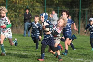 vb_a0300.jpg - JPEG - 401.4 ko - 2000×1333 px