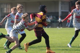 vb_a0388.jpg - JPEG - 353.4 ko - 2000×1333 px