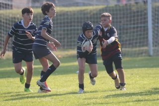 vb_a0429-2.jpg - JPEG - 358.9 ko - 2000×1333 px