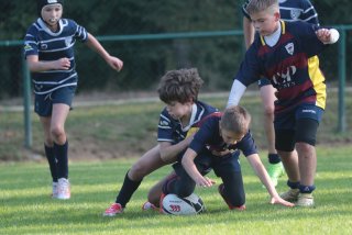 vb_a0446.jpg - JPEG - 328.4 ko - 2000×1333 px