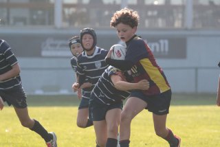 vb_a0462.jpg - JPEG - 214.2 ko - 2000×1333 px