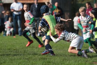 vb_a0510.jpg - JPEG - 403.4 ko - 2000×1333 px