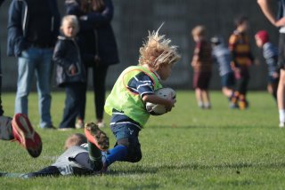 vb_a0514.jpg - JPEG - 312.4 ko - 2000×1333 px