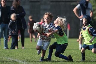 vb_a0516.jpg - JPEG - 338.1 ko - 2000×1333 px