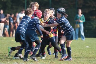 vb_a0550.jpg - JPEG - 425.3 ko - 2000×1333 px