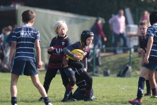 vb_a0561.jpg - JPEG - 316.6 ko - 2000×1333 px