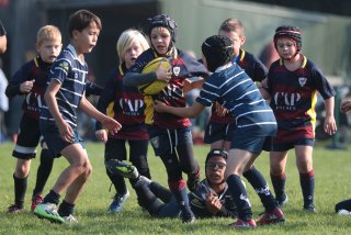 vb_a0562-2.jpg - JPEG - 394.2 ko - 2000×1333 px