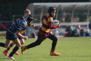 vb_a0570.jpg - JPEG - 290.4 ko - 2000×1333 px