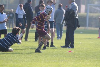 vb_a0585.jpg - JPEG - 309.1 ko - 2000×1333 px