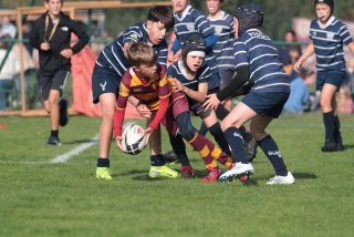 vb_a0651.jpg - JPEG - 390.8 ko - 2000×1333 px