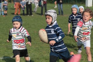 vb_a0663.jpg - JPEG - 395.5 ko - 2000×1333 px