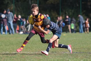 vb_a0686.jpg - JPEG - 361.6 ko - 2000×1333 px