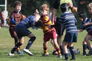 vb_a0695.jpg - JPEG - 417.2 ko - 2000×1333 px