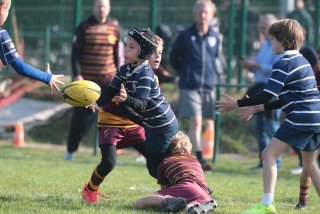 vb_a0703.jpg - JPEG - 363.4 ko - 2000×1333 px