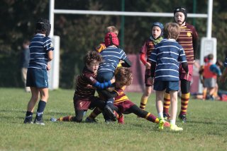 vb_a0719.jpg - JPEG - 371.3 ko - 2000×1333 px