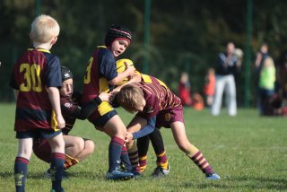 vb_a0777.jpg - JPEG - 340.5 ko - 2000×1333 px