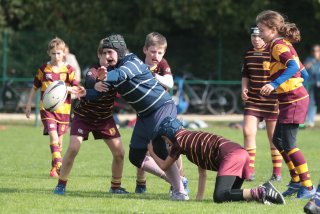 vb_a1036.jpg - JPEG - 391.3 ko - 2000×1333 px