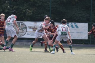 vb_a1187-3.jpg - JPEG - 307.5 ko - 2000×1333 px