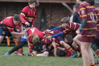 vb_a1205.jpg - JPEG - 382.9 ko - 2000×1333 px