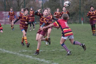 vb_a1228.jpg - JPEG - 411.9 ko - 2000×1333 px