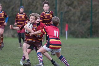 vb_a1261.jpg - JPEG - 280.8 ko - 2000×1333 px