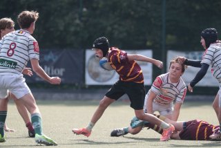 vb_a1339.jpg - JPEG - 320.4 ko - 2000×1333 px