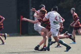 vb_a1370.jpg - JPEG - 278.9 ko - 2000×1333 px