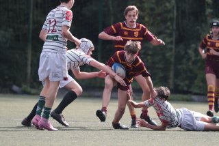 vb_a1434-3.jpg - JPEG - 332 ko - 2000×1333 px