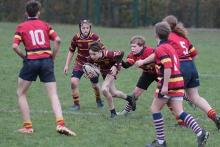 vb_a1465-2.jpg - JPEG - 394.3 ko - 2000×1333 px