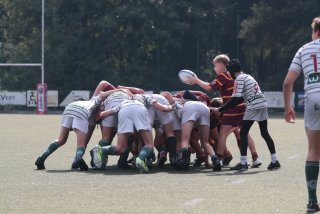 vb_a1484.jpg - JPEG - 362.6 ko - 2000×1333 px