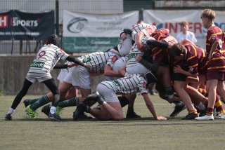 vb_a1546.jpg - JPEG - 368.7 ko - 2000×1333 px