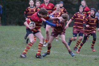 vb_a1568.jpg - JPEG - 382.6 ko - 2000×1333 px