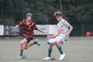 vb_a1590-2.jpg - JPEG - 274.6 ko - 2000×1333 px