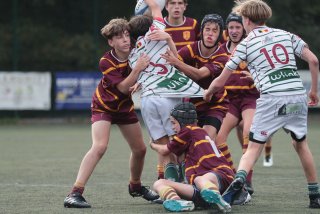 vb_a1602.jpg - JPEG - 373.6 ko - 2000×1333 px