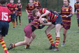 vb_a1613.jpg - JPEG - 389.7 ko - 2000×1333 px