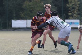 vb_a1646-2.jpg - JPEG - 317.3 ko - 2000×1333 px