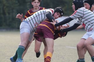 vb_a1652.jpg - JPEG - 294.2 ko - 2000×1333 px