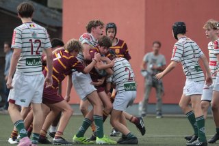 vb_a1674-2.jpg - JPEG - 335.5 ko - 2000×1333 px