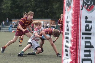 vb_a1706.jpg - JPEG - 358.4 ko - 2000×1333 px