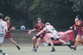 vb_a1750.jpg - JPEG - 280.9 ko - 2000×1333 px