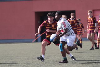 vb_a1794.jpg - JPEG - 311.8 ko - 2000×1333 px