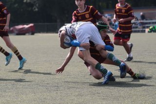 vb_a1804.jpg - JPEG - 401.9 ko - 2000×1333 px