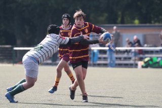 vb_a1842-2.jpg - JPEG - 307.9 ko - 2000×1333 px