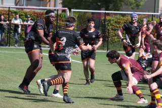 vb_a1862.jpg - JPEG - 487 ko - 2000×1333 px