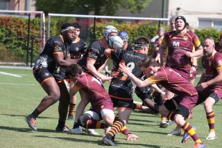 vb_a1863.jpg - JPEG - 490 ko - 2000×1333 px