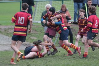 vb_a1897.jpg - JPEG - 386.8 ko - 2000×1333 px