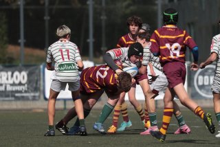 vb_a1957.jpg - JPEG - 343.2 ko - 2000×1333 px