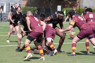 vb_a1973.jpg - JPEG - 474.1 ko - 2000×1333 px